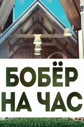 Бобёр на час