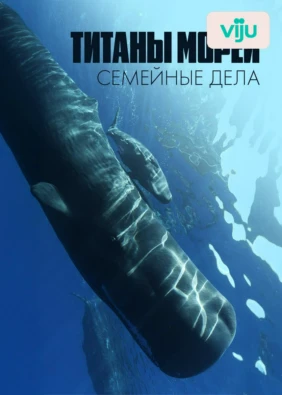 Титаны морей: семейные дела