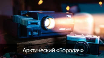 Арктический «Бородач»
