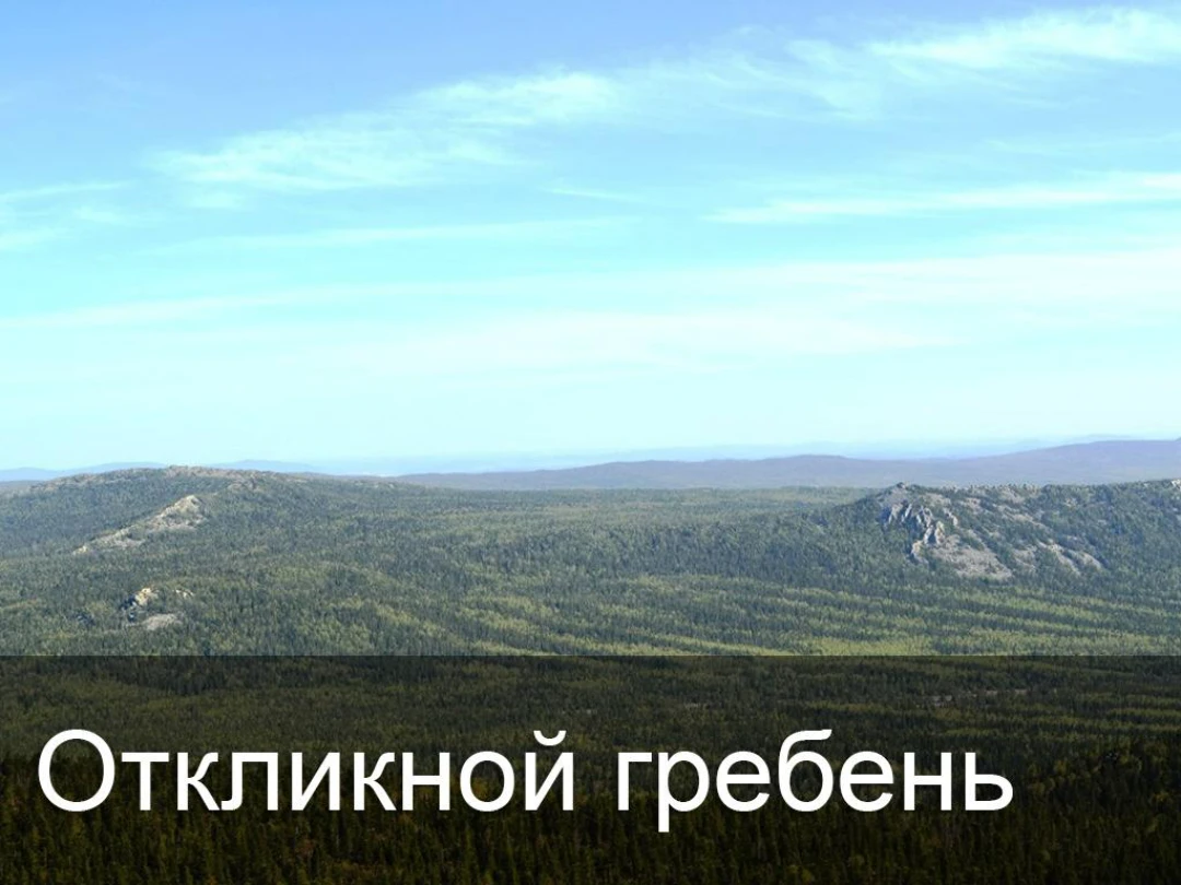 Передача Откликной гребень