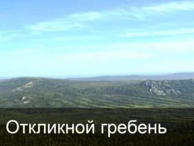 Откликной гребень