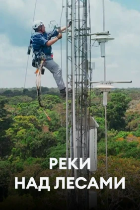 Реки над лесами
