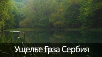 Ущелье Грза Сербия