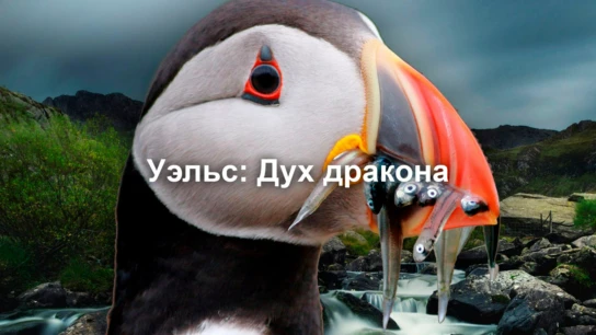 Уэльс: Дух дракона