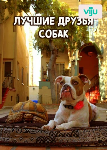 1 серия