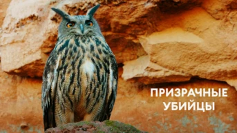 Призрачные убийцы