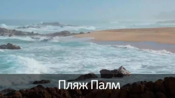Пляж Палм