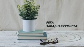 Река Западная Гумиста