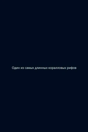 Один из самых длинных коралловых рифов