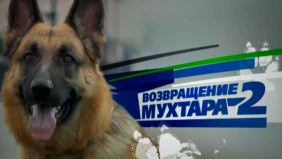 Трейлер 1