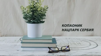 Копаоник нацпарк Сербия