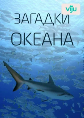 Загадки океана