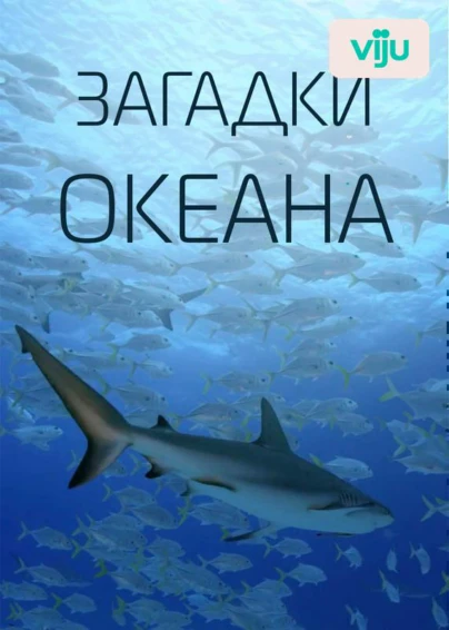 Загадки океана