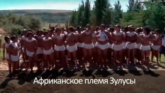 Африканское племя Зулусы