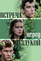 Встреча перед разлукой
