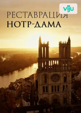 Реставрация Нотр-Дама