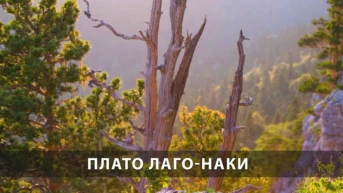 Плато Лаго-Наки