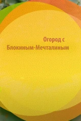 Огород с Блокиным-Мечталиным