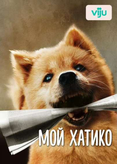 Мой Хатико