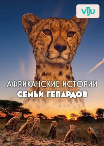 1 серия