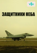 Защитники неба