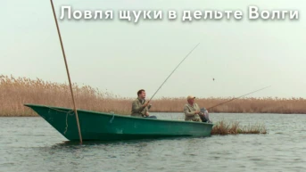 Ловля щуки в дельте Волги