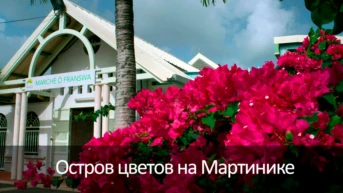 Остров цветов на Мартинике