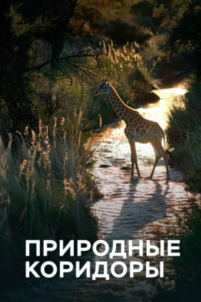Природные коридоры