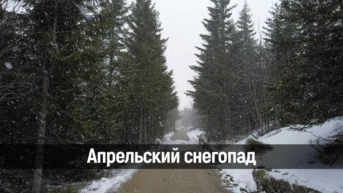 Апрельский снегопад