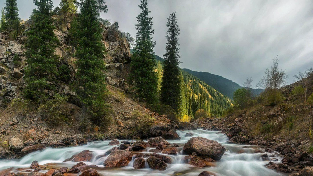 Передача Река Тургень