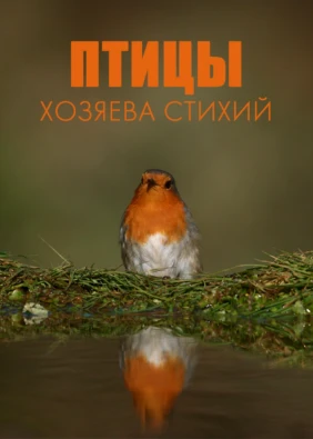 Птицы: хозяева стихий