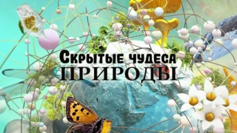 Скрытые чудеса природы