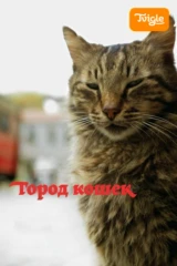 Город кошек