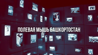 Полевая мышь Башкортостан