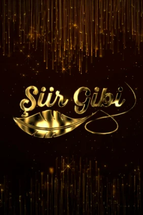 Şiir Gibi