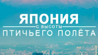 Япония с высоты птичьего полета