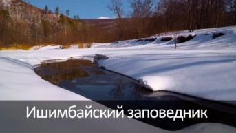 Ишимбайский заповедник
