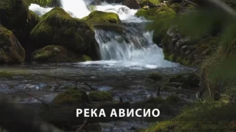 Река Ависио