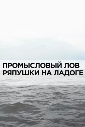 Промысловый лов ряпушки на Ладоге