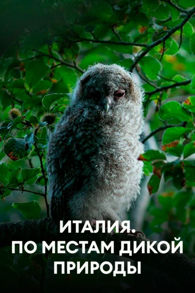 Италия. По местам дикой природы