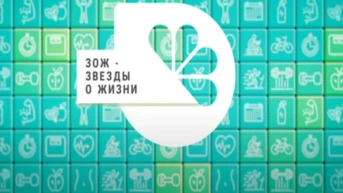 ЗОЖ — Звёзды О Жизни