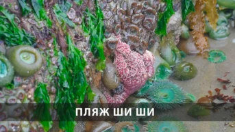 Пляж Ши Ши
