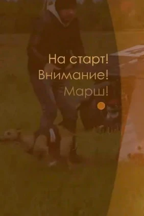 На старт! Внимание! Марш!