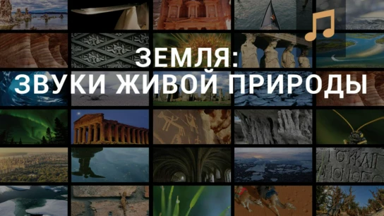 Земля: звуки живой природы