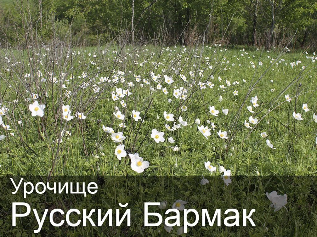 Передача Урочище Русский Бармак