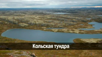 Кольская тундра