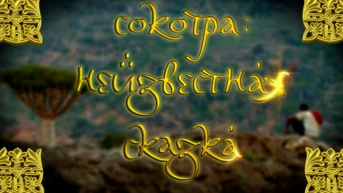 Сокотра: неизвестная сказка