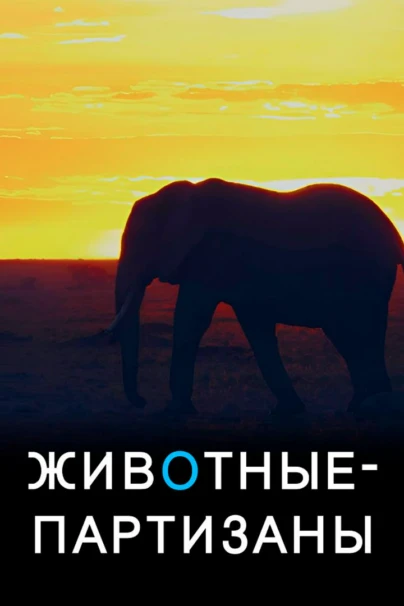 Животные - партизаны