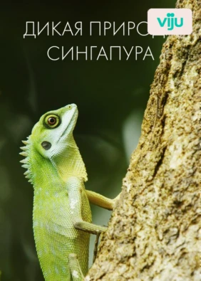 Дикая природа Сингапура