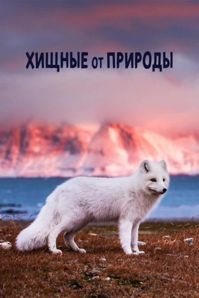 Хищные от природы